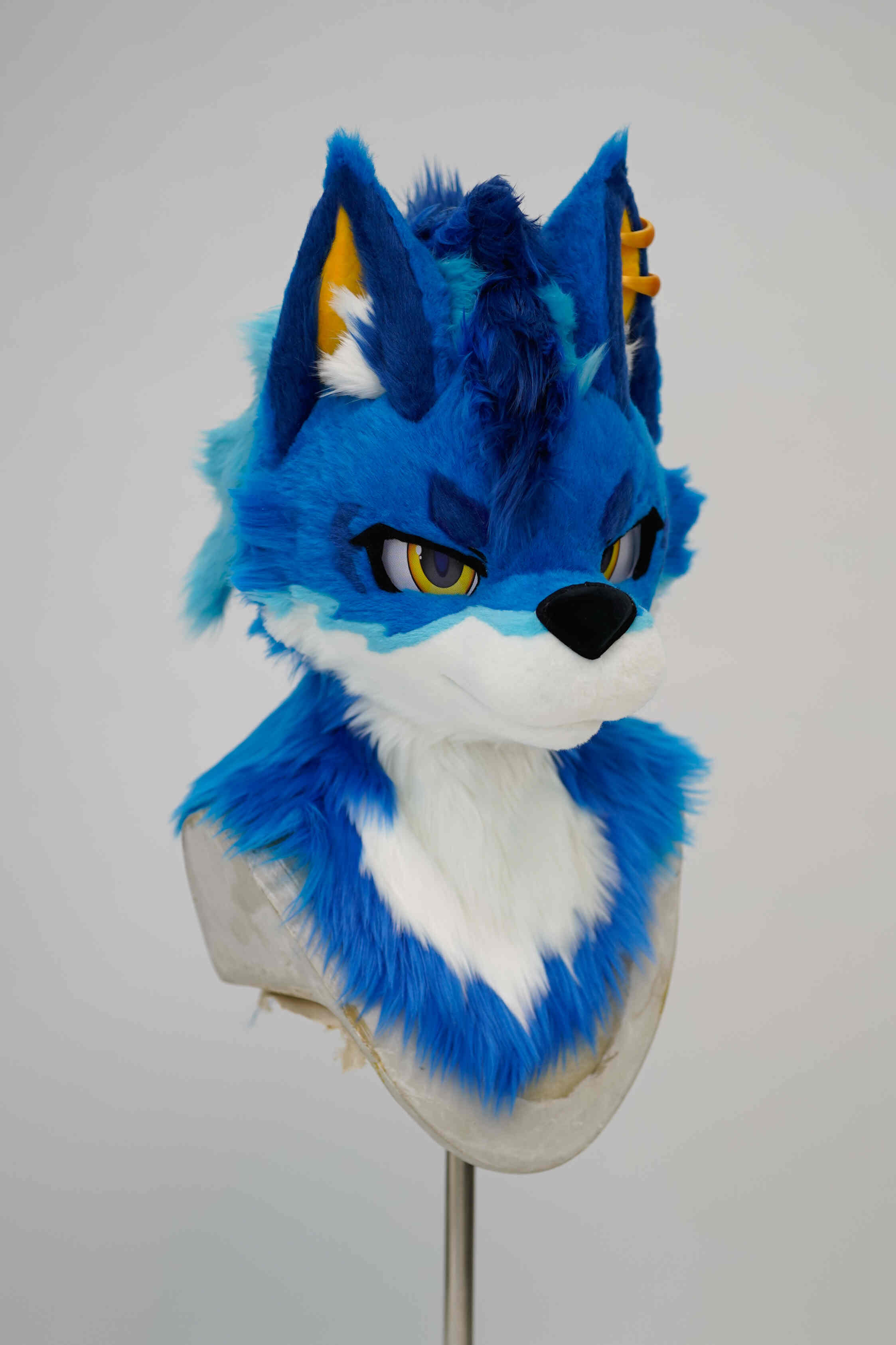 哈士猪