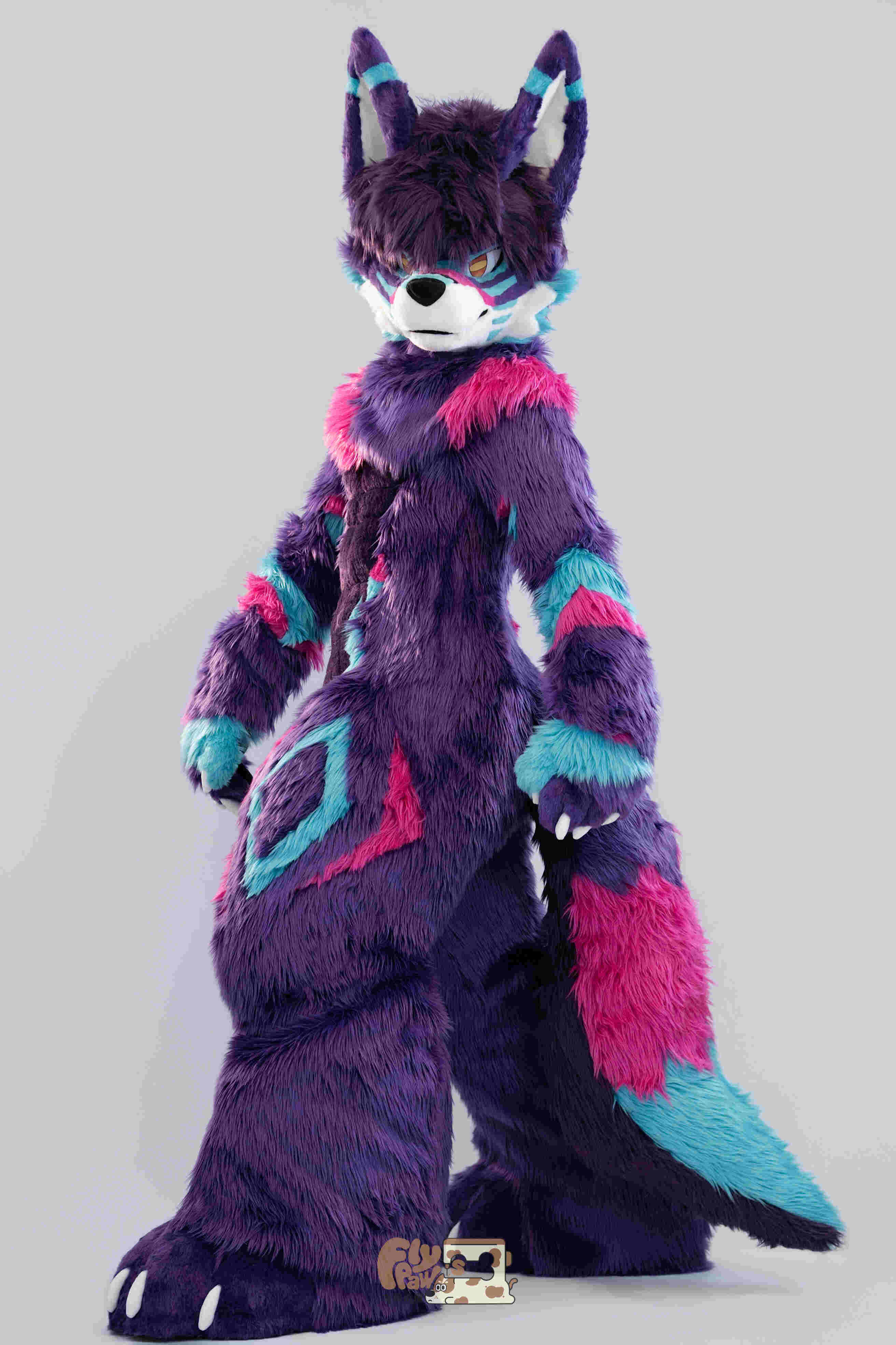 Tanuki